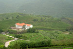 DSC03426