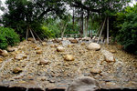 DSC03428