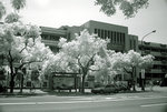 DSC04027