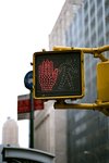 
Yellow Signal