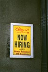Now Hiring~