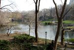 Central park