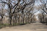 DSC01848