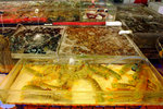 DSC05547