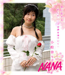 a-LMF_8329