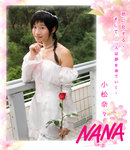a-LMF_8331