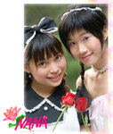 a-LMF_8351