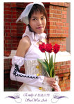 SWK-P084