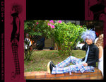 COS_PLUS_M528