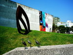 20080725_IMG_6065