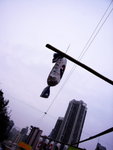 20080204_IMG_4912