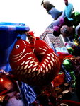 20080204_IMG_4952