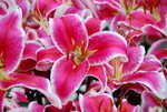 20080314_IMG_0685