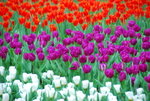 20080314_IMG_0748