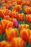 20080314_IMG_0775