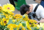 20080314_IMG_0796