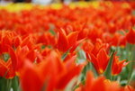 20080320_IMG_0977