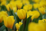 20080320_IMG_0981