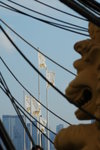 DSC_6384