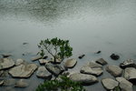 20070929_IMG_0222