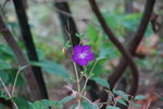 20070923_IMG_5540