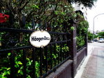20080804_IMG_6634_exposure