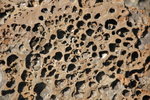 20071202_IMG_2657