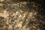 20071202_IMG_2674