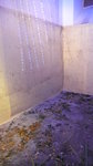 20070421_IMG_0604