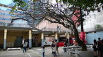 20070421_IMG_0637