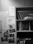 20080211_IMG_5415