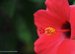 JOE_0524s