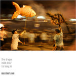 20061007_D60c-022284_firedragon