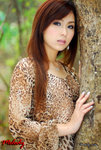 Melody036
