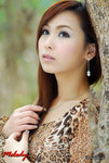 Melody037