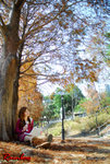 Rainbow_014