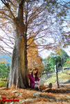 Rainbow_015