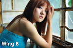 WingB001