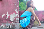 WingB030