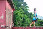 WingB036