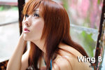 WingB049