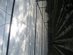 IMG_4973