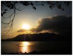 IMG_3626