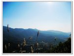 IMG_4901