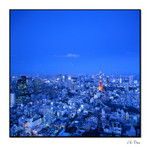 tokyo tower1 copy