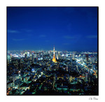 tokyo tower2 copy