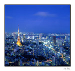 tokyo tower3 copy