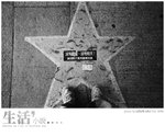 bbstar-24