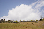 DSC_9090a