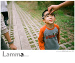 lamma-t3-29